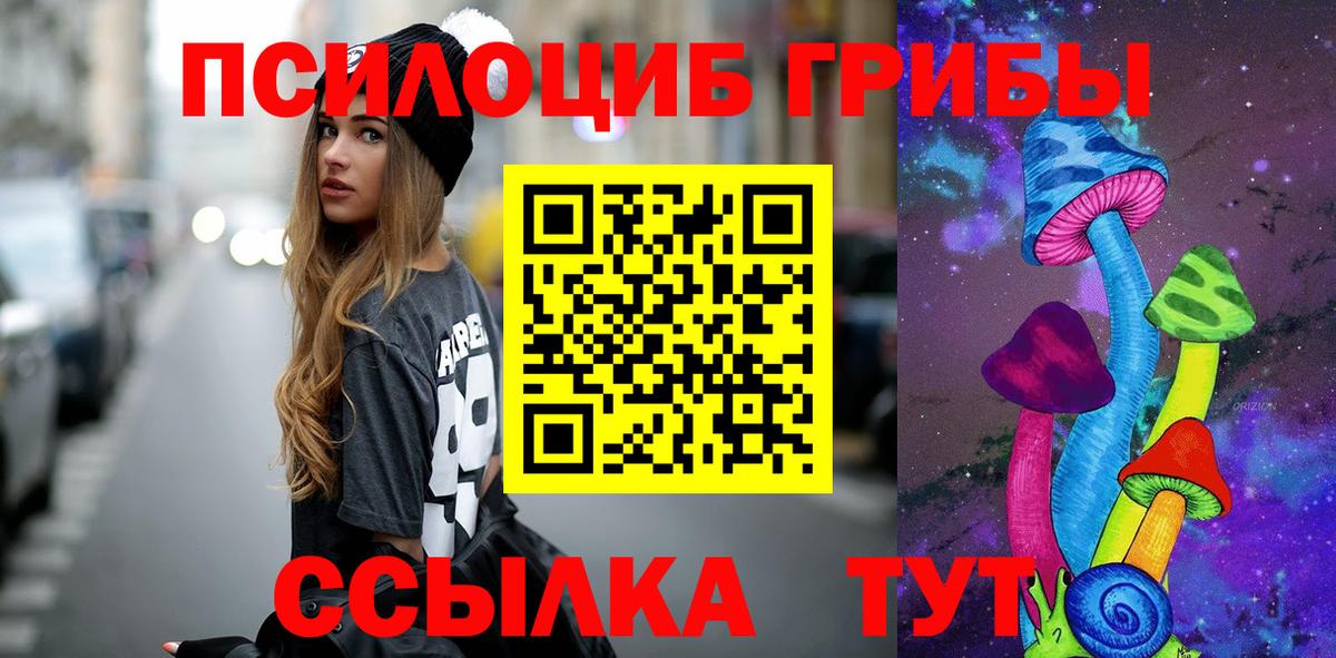 Псилоцибиновые грибы прущие грибы Туймазы